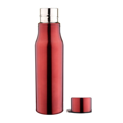 Red Sturdy Sports Bottle 750 ml