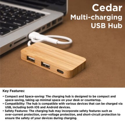 Cedar multi-charging USB Hub